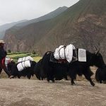 अझै पनि ढुवानी चौरीमा अझै पनि ढुवानी चौरीमा