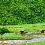 अचम्मको जीवन प्रदान अचम्मको जीवन प्रदान
