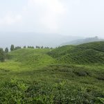 एक पटक घुम्न जानै पर्ने स्थान एक पटक घुम्न जानै पर्ने स्थान