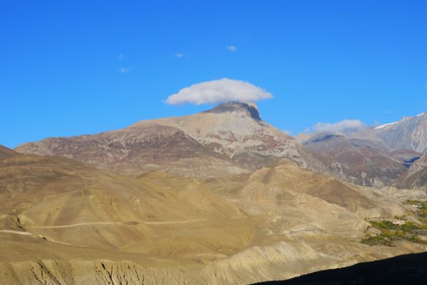 तपाई सान्त्वनाको आशा गर्ने धर्मी र महाजन बन्न सक्नुहुन्छ ।