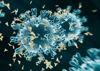 कोरोनाको ओमिक्रोन भेरियन्ट तीव्र विस्तार भइरहेको छ, सावधान बन्नुहोस् : स्वास्थ्य मन्त्रालय