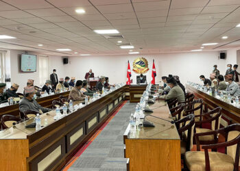 यी हुन् सीसीएमसीसीका १३ निर्णय