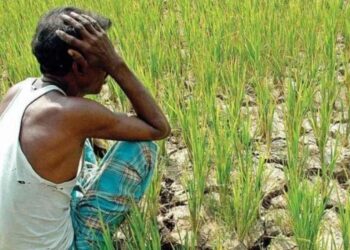 किसानलाई हरेक बर्ष मलकै चिन्ता