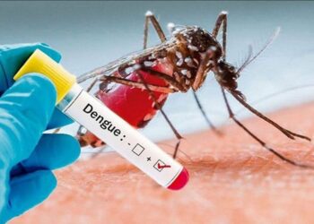 बंगलादेशमा डेंगु भयावह बन्दै, १० को मृत्यु, ९ हजार भन्दा बढी संक्रमित